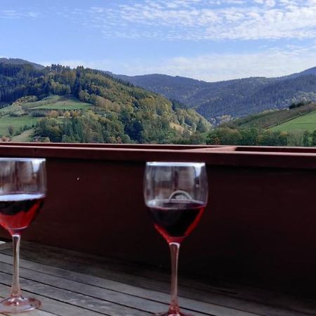 Ferienwohnung Christa Bad Peterstal-Griesbach Bagian luar foto