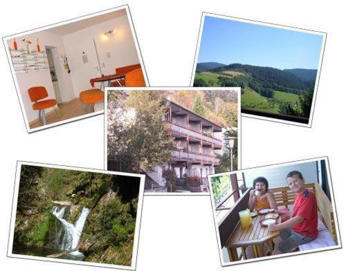 Ferienwohnung Christa Bad Peterstal-Griesbach Bagian luar foto