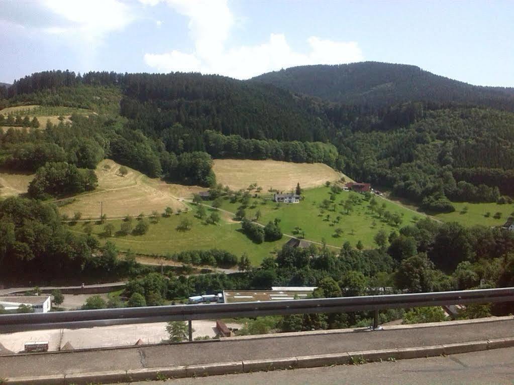 Ferienwohnung Christa Bad Peterstal-Griesbach Bagian luar foto