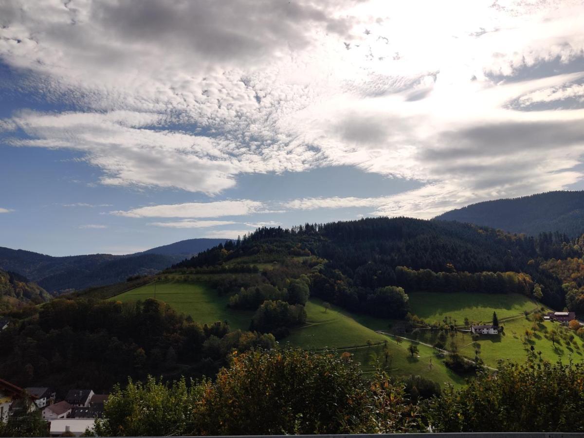 Ferienwohnung Christa Bad Peterstal-Griesbach Bagian luar foto