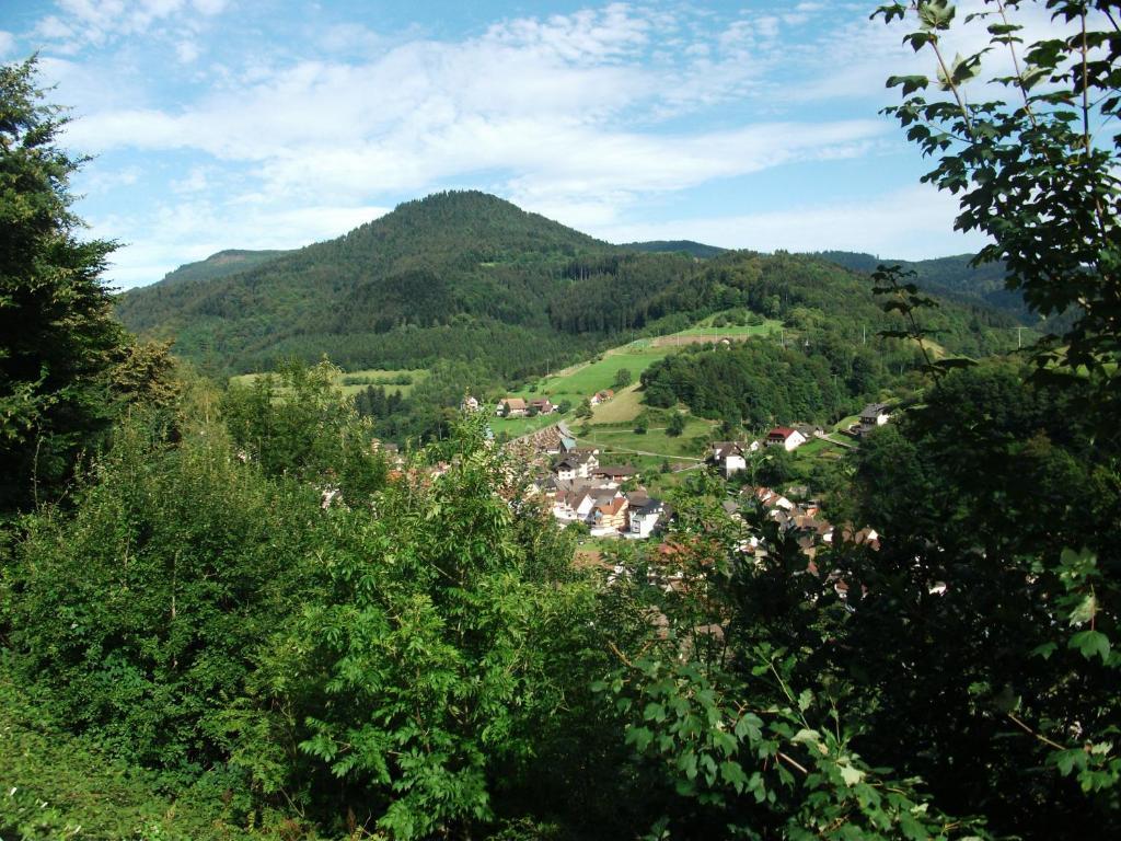 Ferienwohnung Christa Bad Peterstal-Griesbach Bagian luar foto